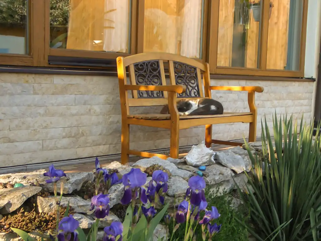 Außenbereich Ferienwohnungen am Rennerhof